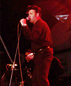 robin2-c.jpg